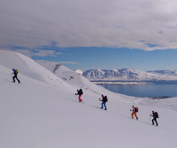 gruppo di scialpinismo in islanda